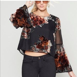 NWOT Gianni Bini Black & Velvet Floral Blouse w/ Bell Sleeves